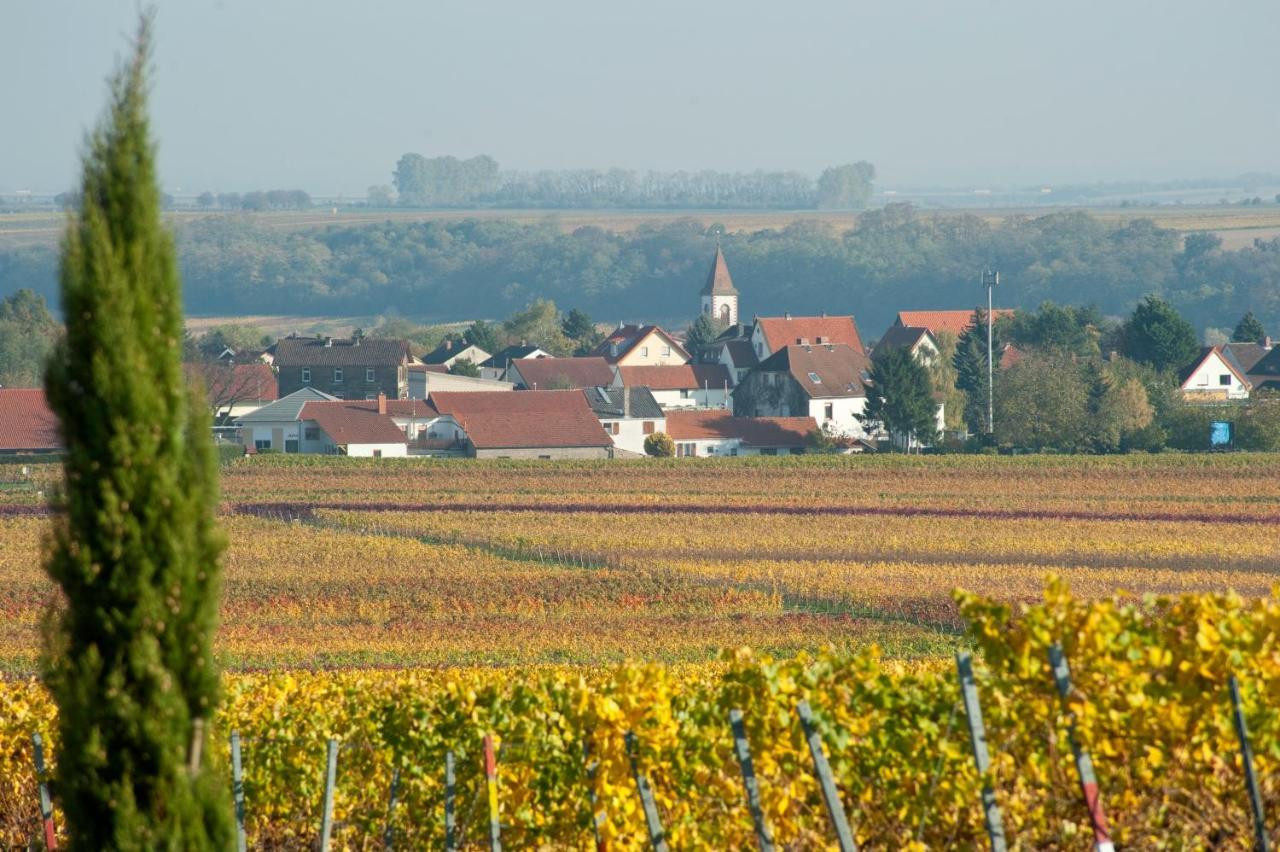 Florsheim-Dalsheim Gaestehaus & Weingut Peth מראה חיצוני תמונה